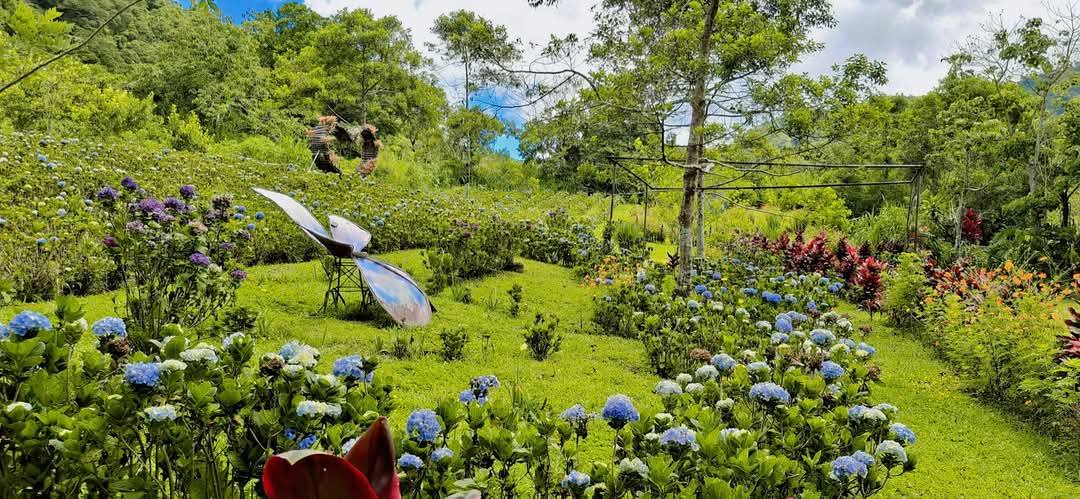 MOTHER NATURE in Bangkong Kahoy Valley... - Parini Sa Quezon | Facebook