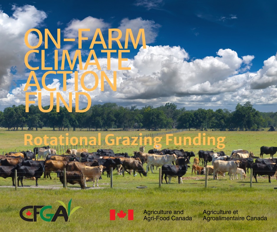 BC - The 2026 CFGA-OFCAF intake runs Feb. 1 to March 15, 2026 ...