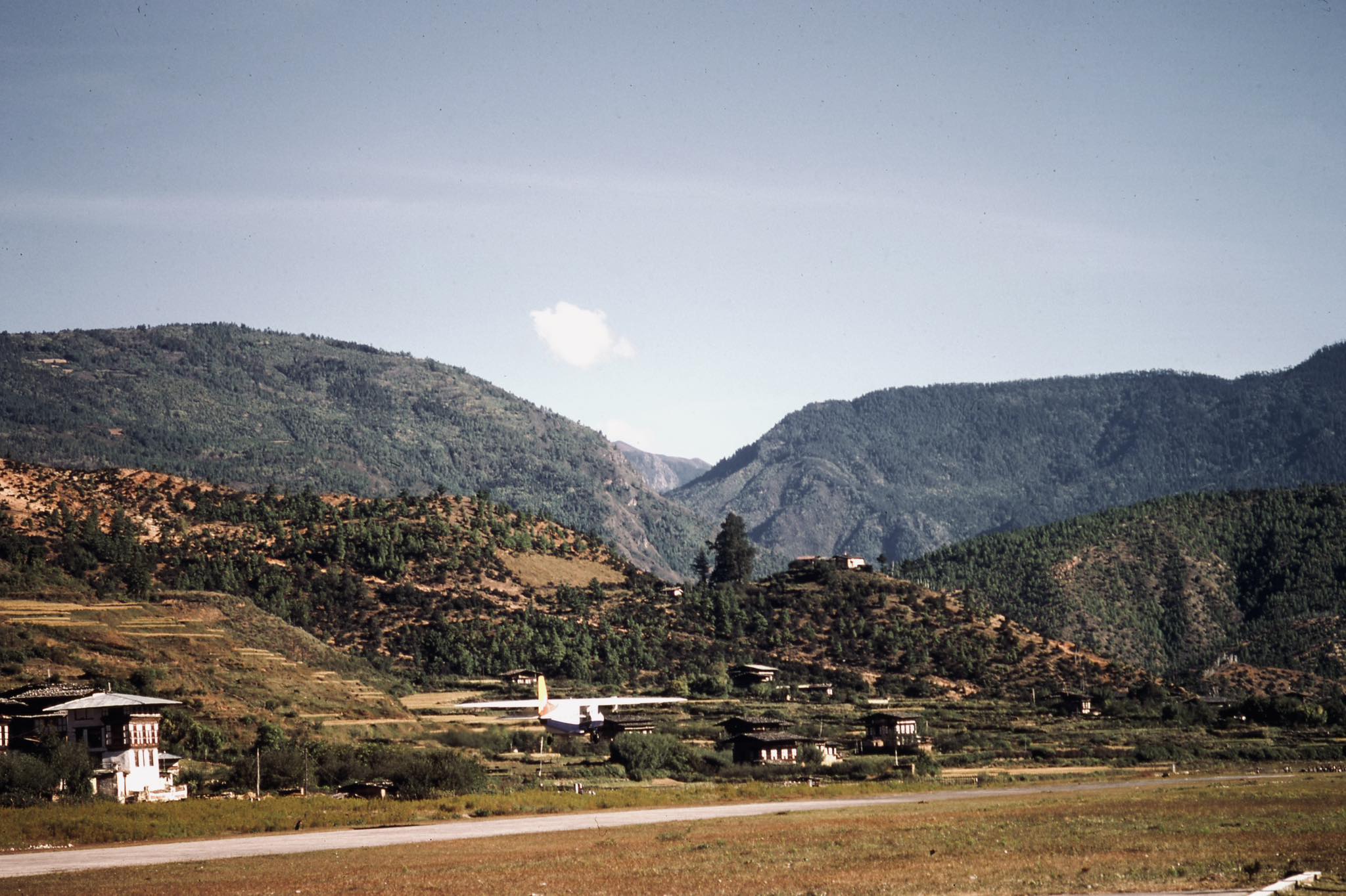 Rigsel T Norbu