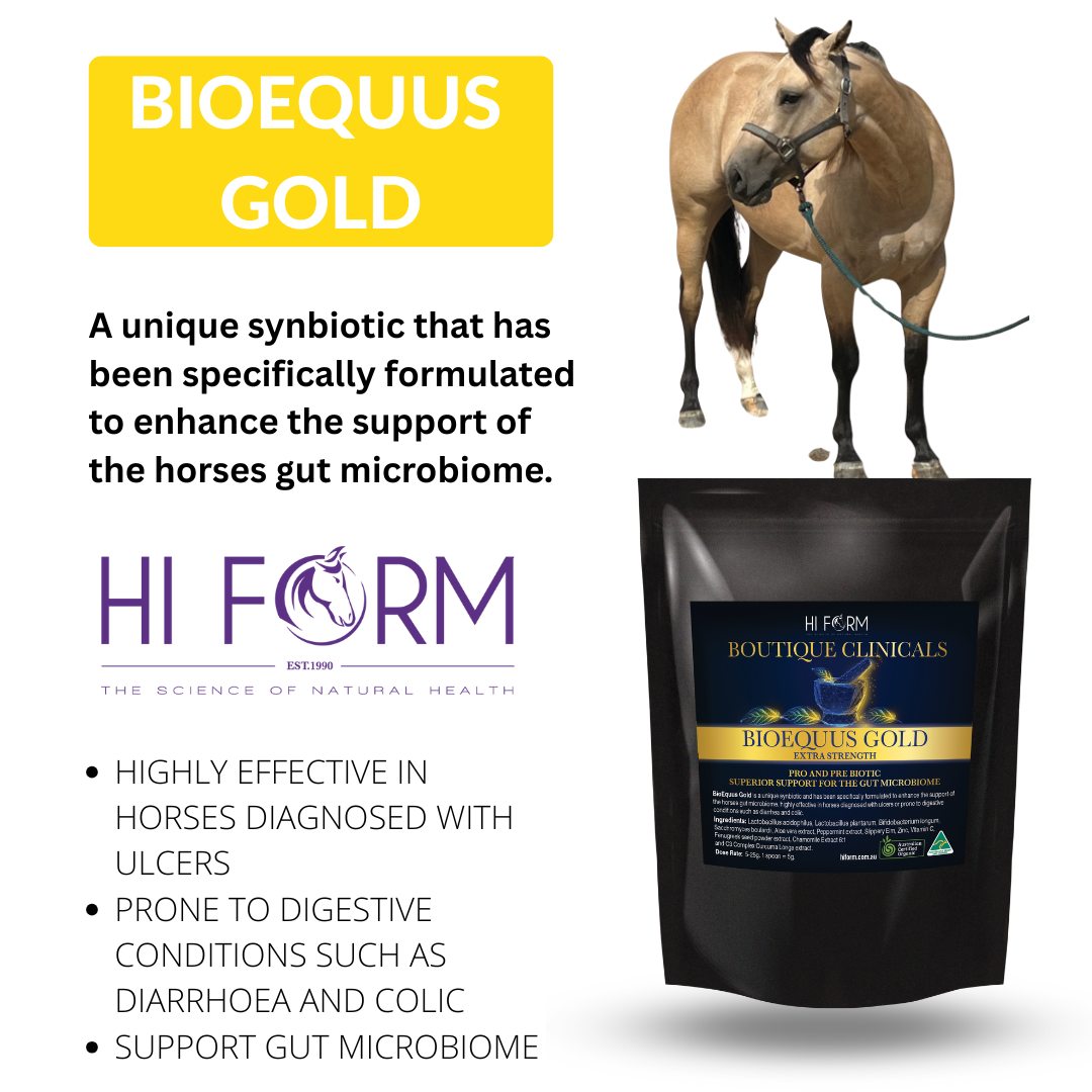Hi - Hi Form BioEquus Gold is highly effective in horses diagnosed with ...