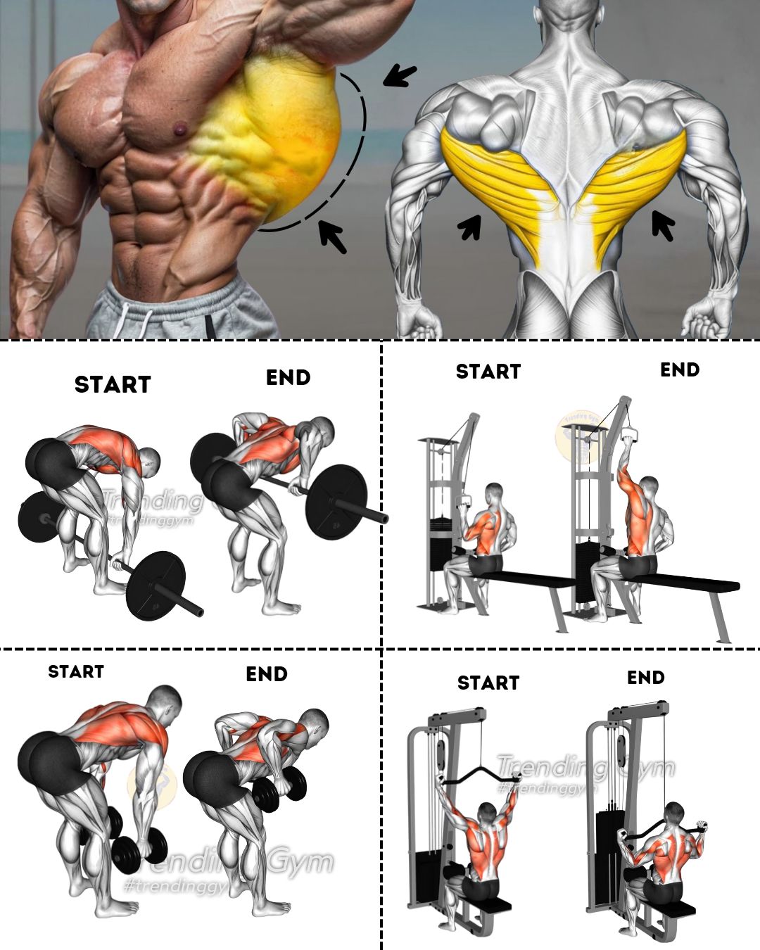 Trending - Best Exercises To Build Wider Back - Back Workouts Routine ① ...