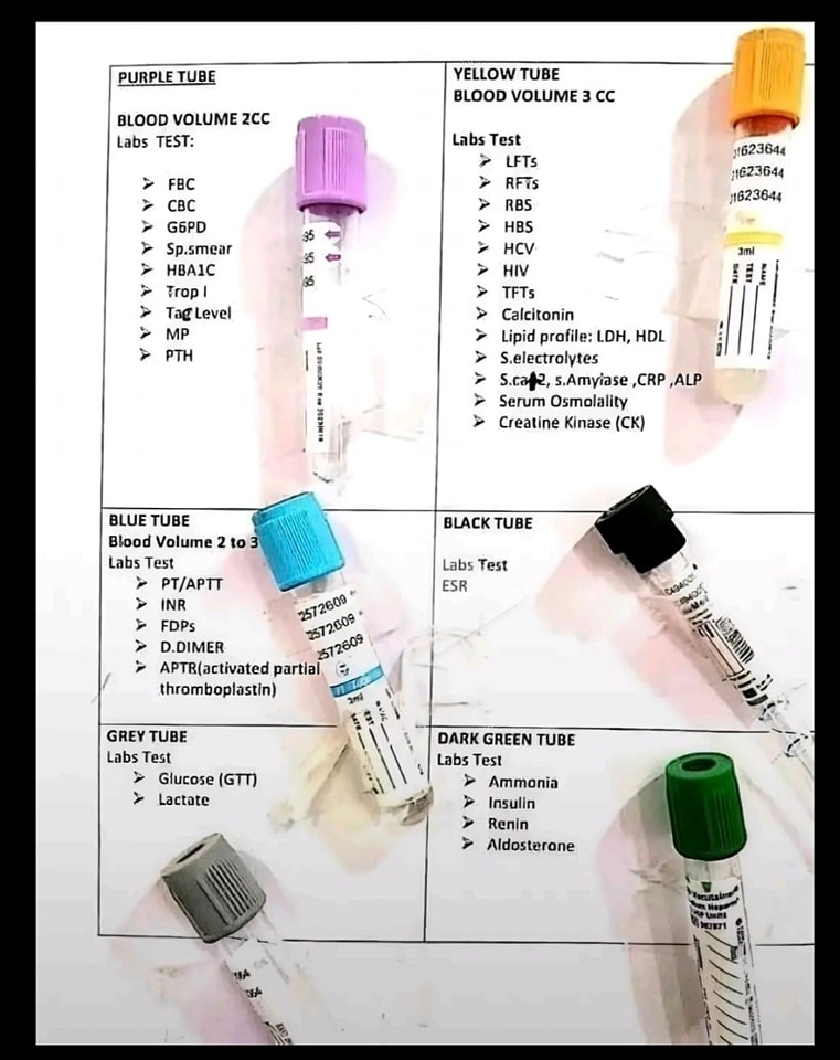Laboratory تاقیگە