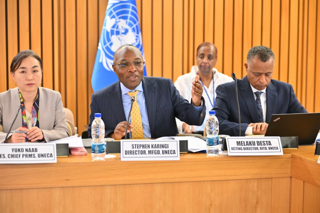📸 𝐏𝐢𝐜𝐭𝐮𝐫𝐞 𝐇𝐢𝐠𝐡𝐥𝐢𝐠𝐡𝐭𝐬 :... - Economic Commission for Africa | Facebook