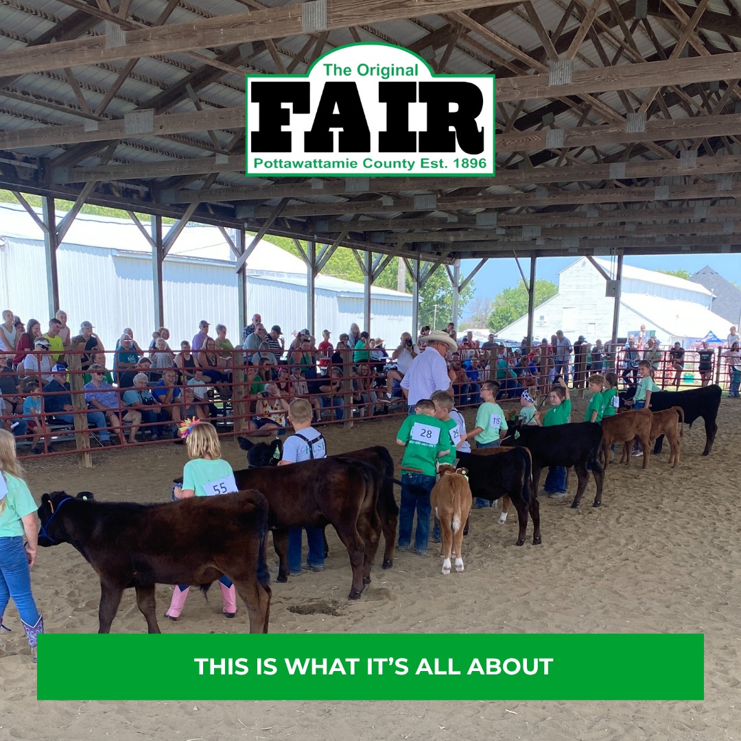Pottawattamie - The fair starts in the barns - with the 4-H and FFA ...