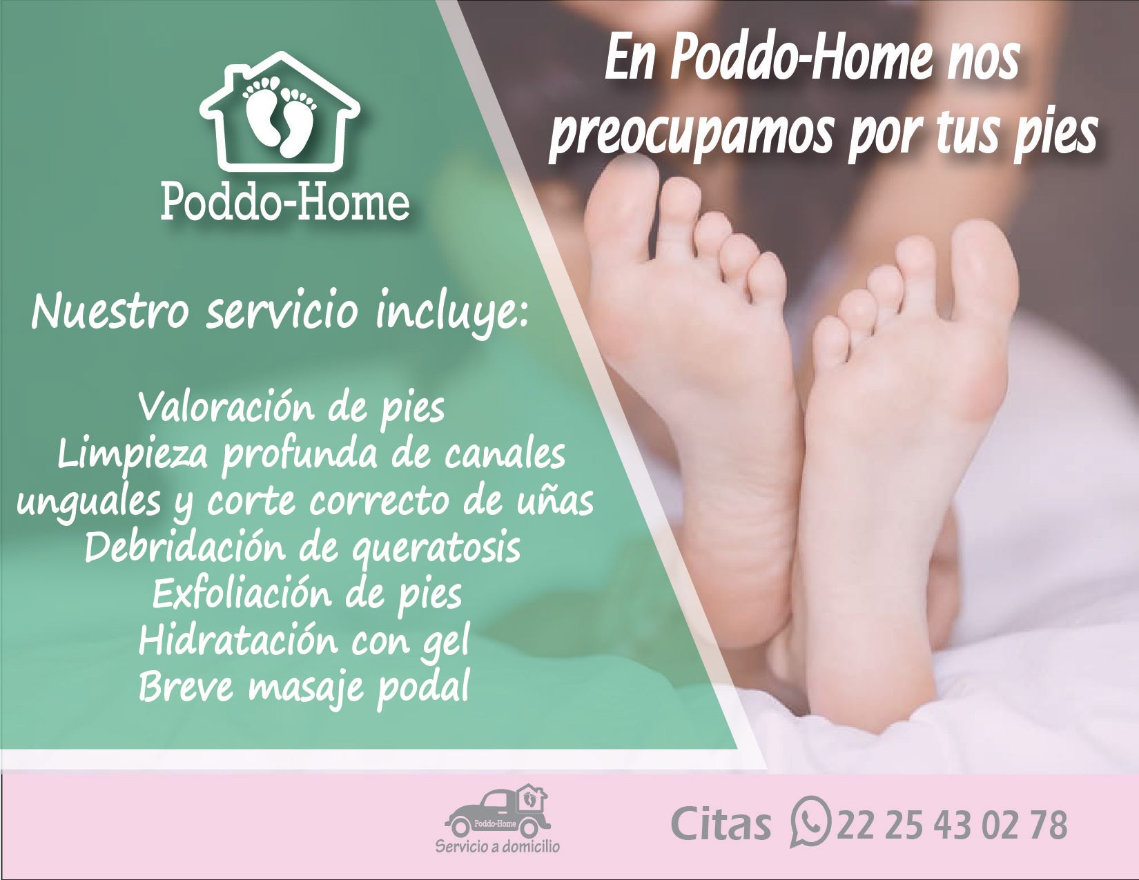 Poddo-Home | Puebla