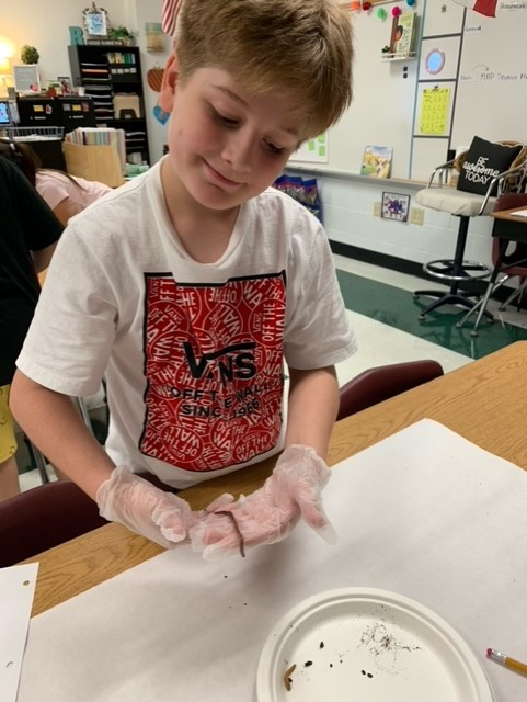 Royal... - Royal Ridge Elementary School - North East ISD