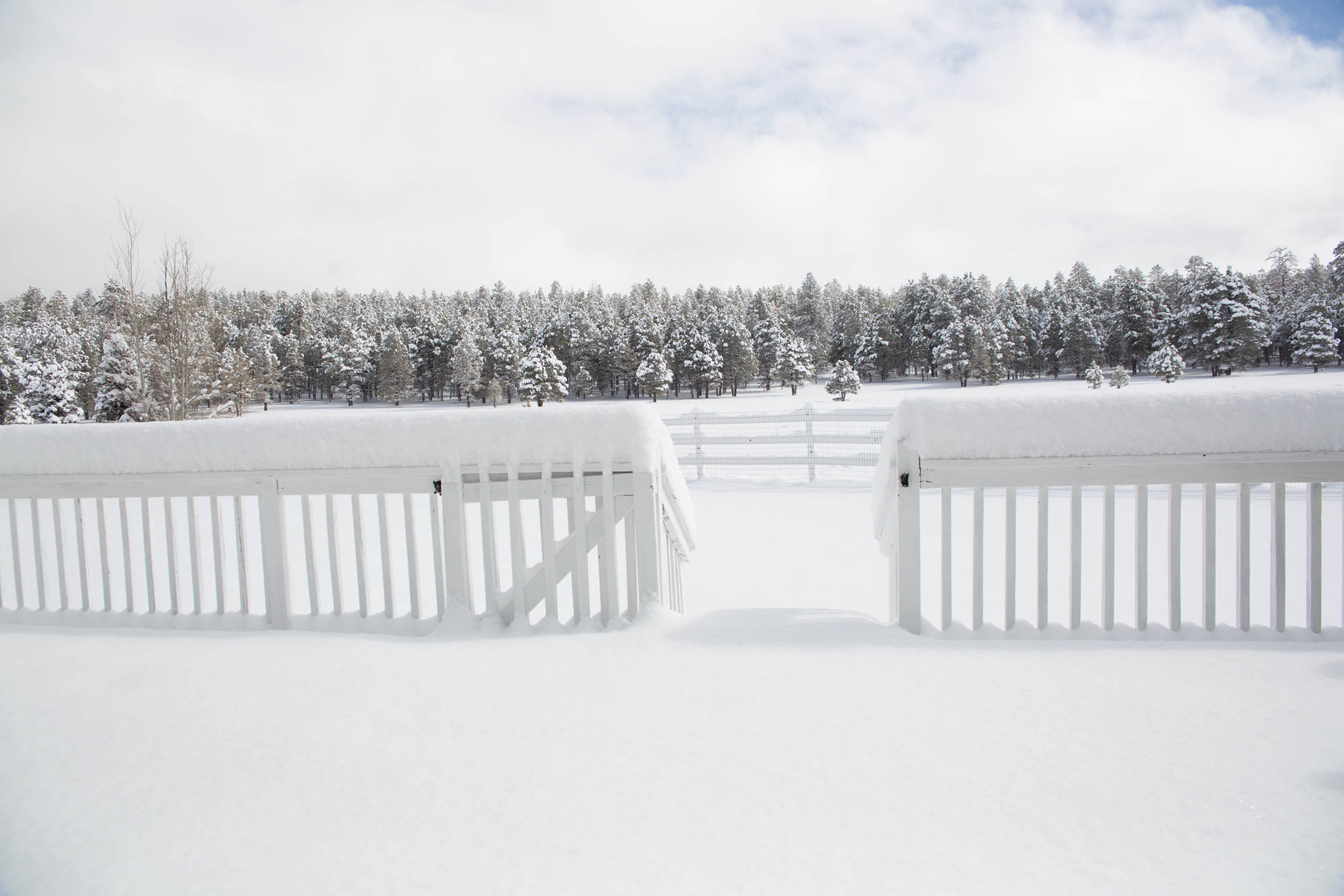 Woodland Edge Flagstaff Vacation Rental Flagstaff AZ