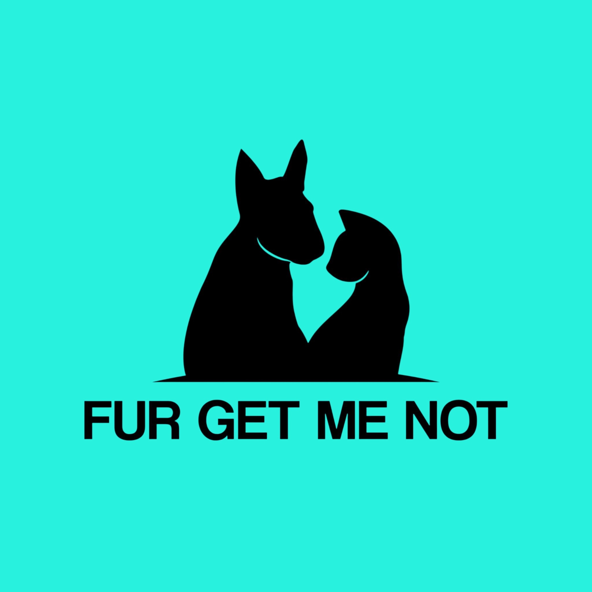 Fur Get Me Not - 🐾 RIP Rocky Boy 🌈💔 You were one of the... | Facebook