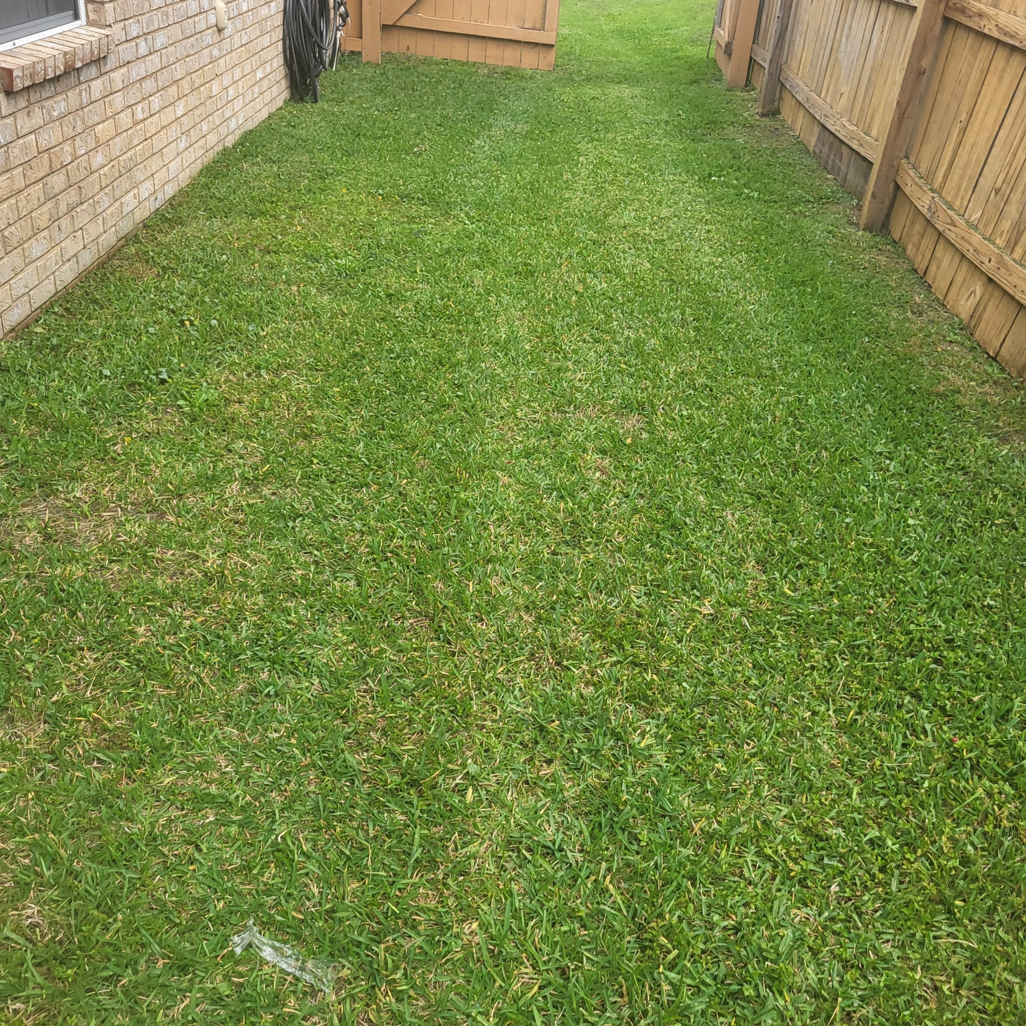 Cutting Edge Lawn Care... - Cutting Edge Lawn Care Pensacola