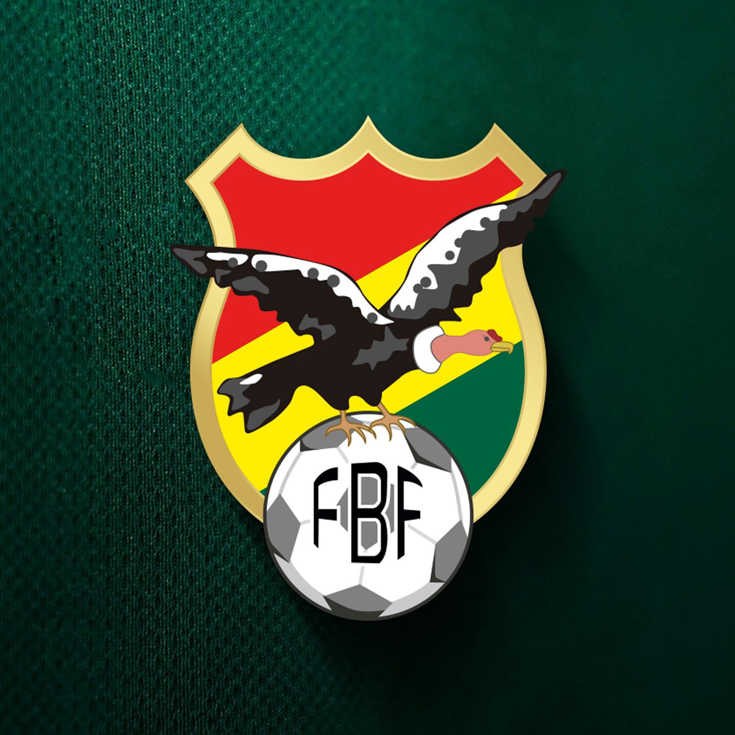 federaci-n-boliviana-de-federaci-n-boliviana-de-f-tbol
