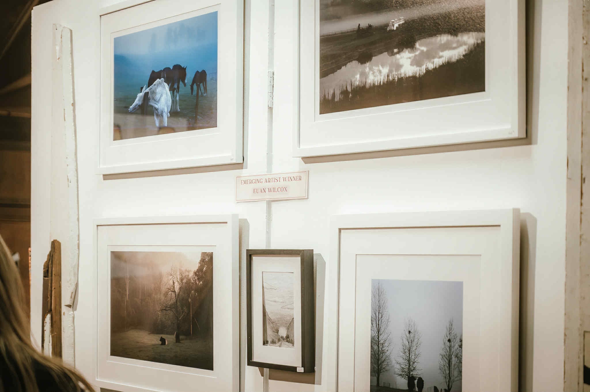 Laguna Art Show - Congratulation to Ruby Ellam, winner of the Emerging ...
