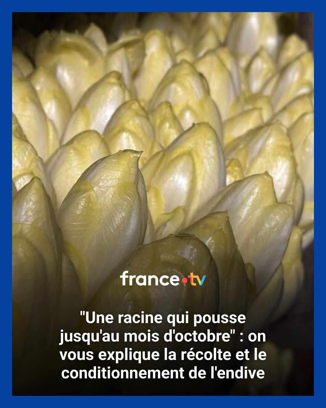 France - 