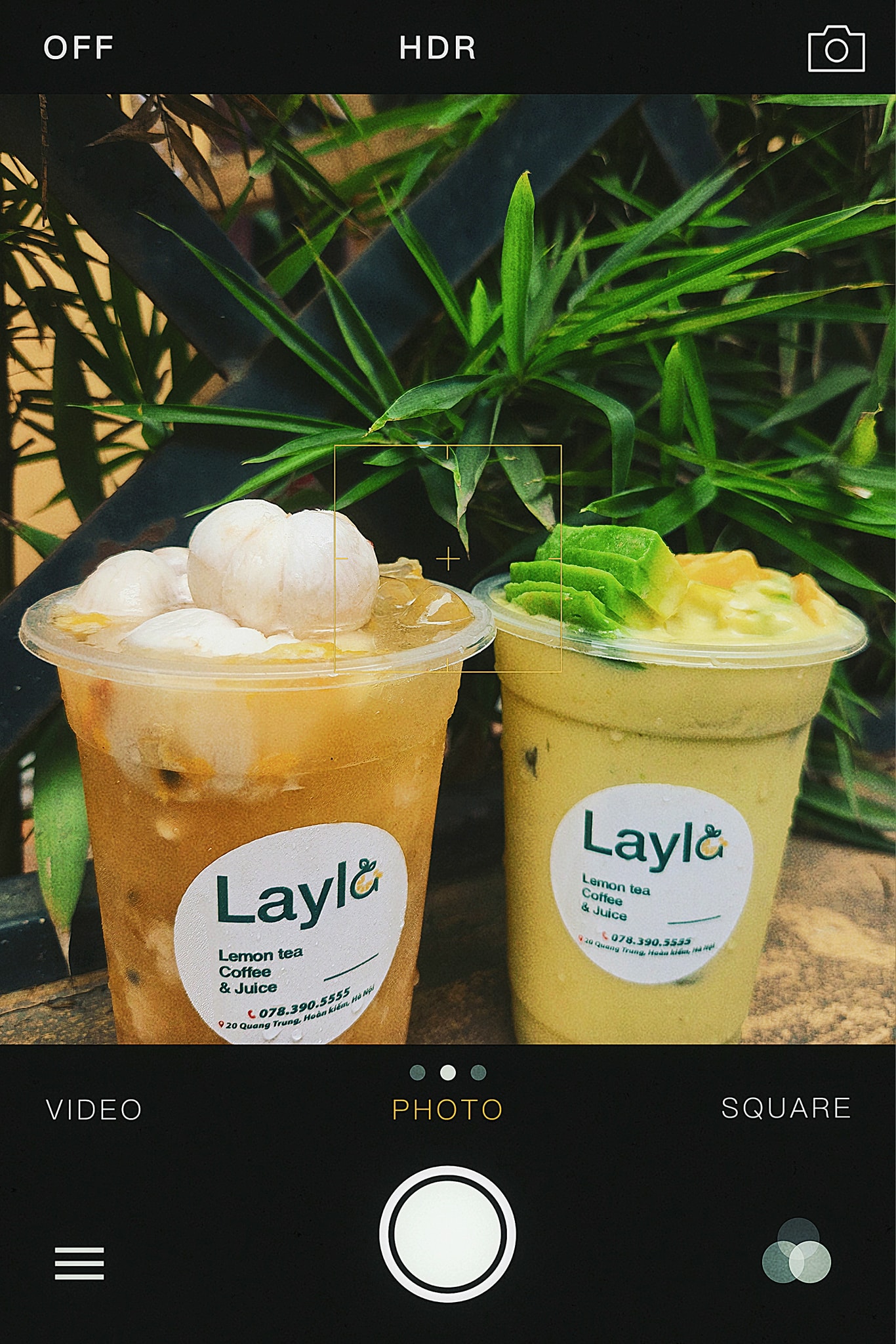 Layla Tea - 20 Quang Trung, Hoàn Kiếm | Hanoi