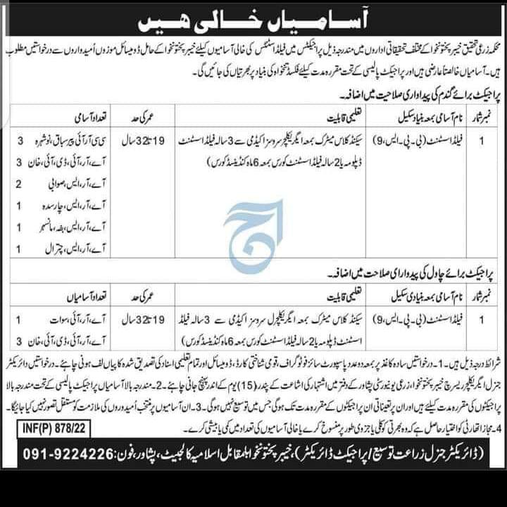 Asset Management Authority of Punjab... - Jobs in Pakistan | Facebook