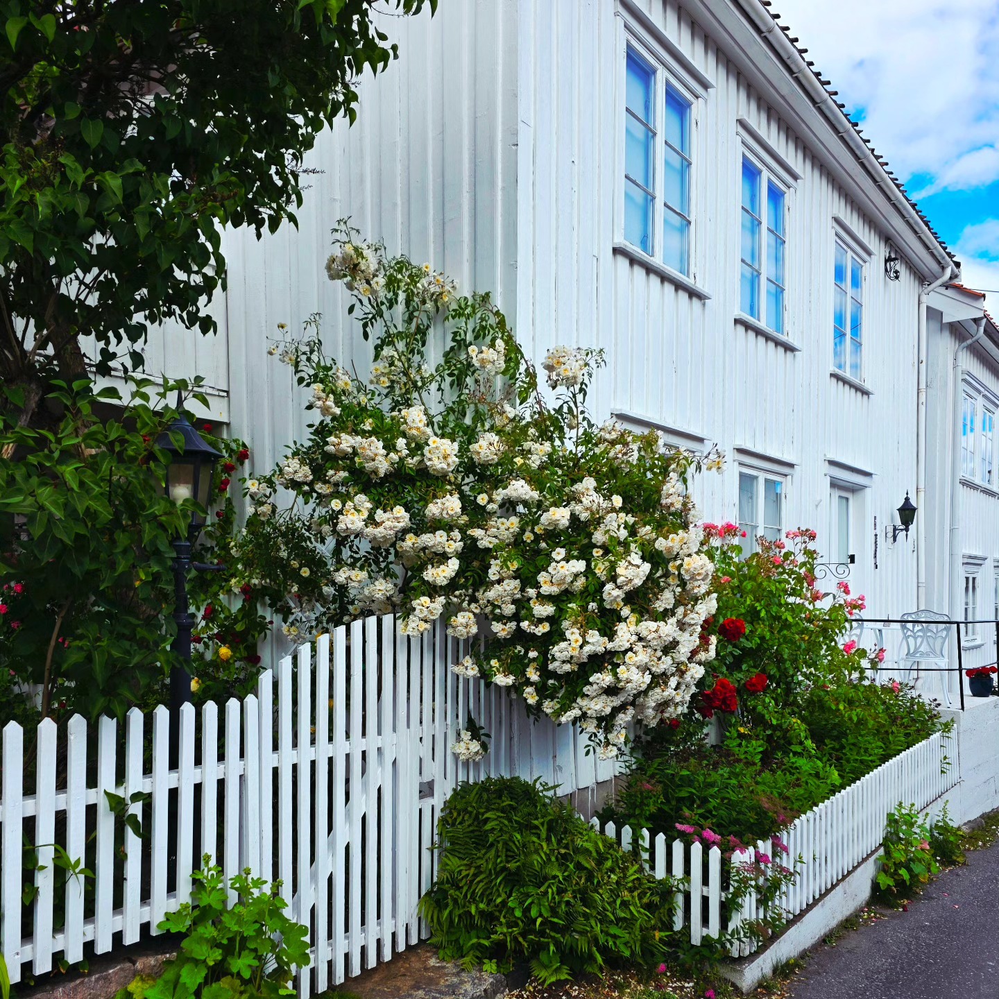 Gardens and landscape