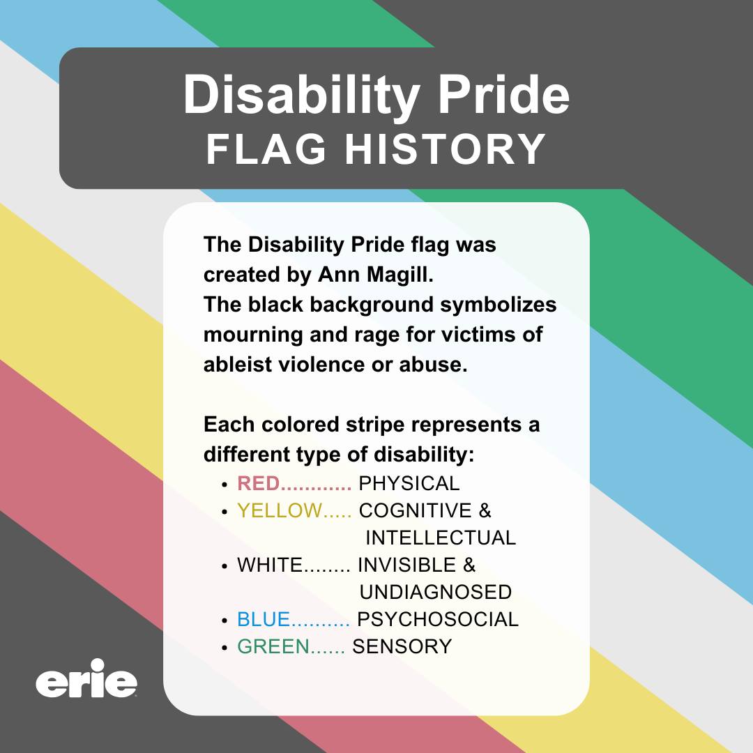 Erie - The Disability Pride flag was created by Ann Magill. The black ...