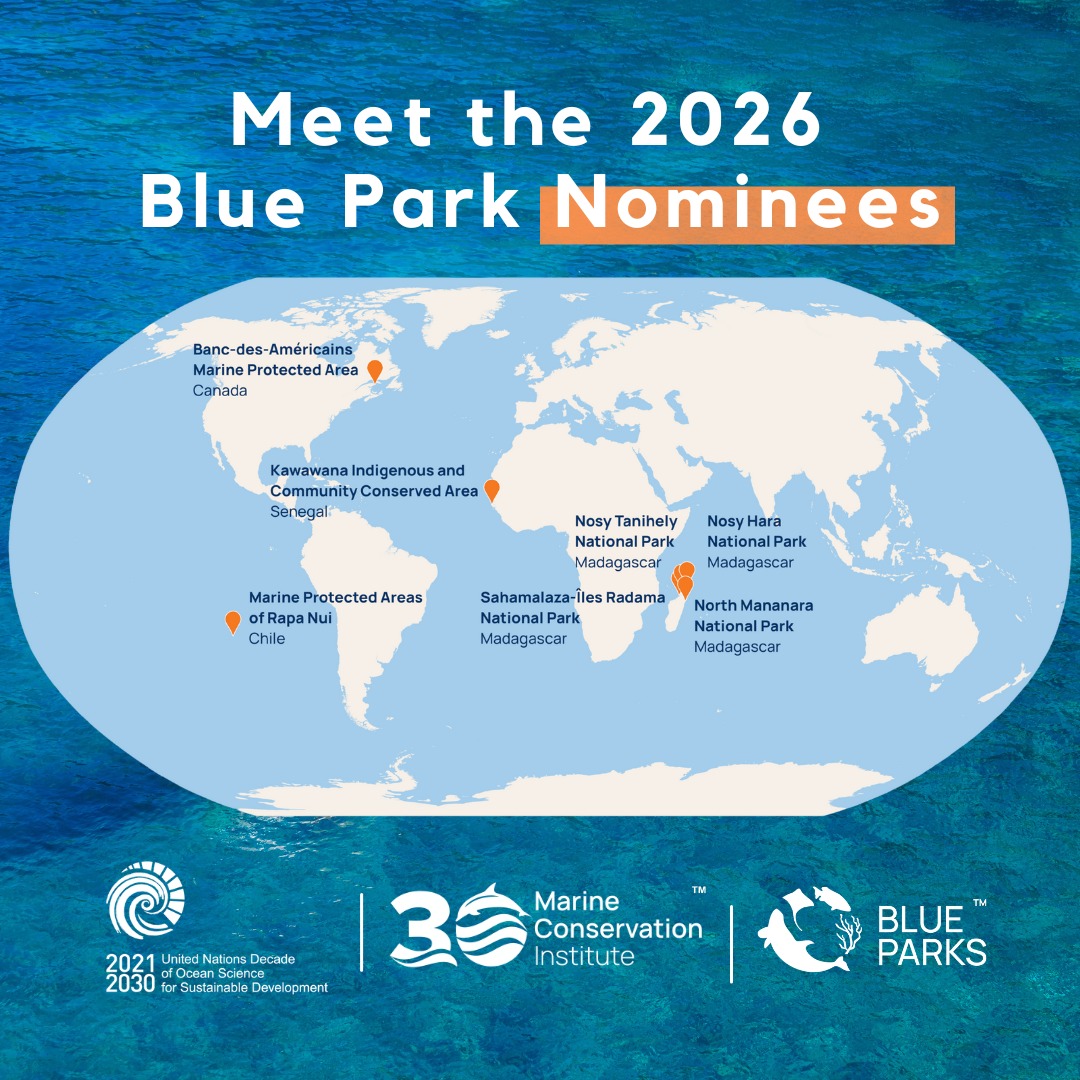 Marine - We’re pleased to introduce the 2026 Blue Park Nominees—a ...