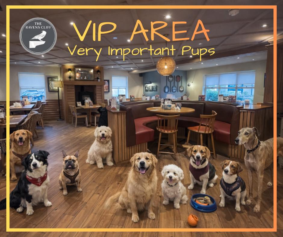The Raven's - 🐾 WELCOME TO THE VIP AREA… 🐾 Very Important Pups only 🐕 ...
