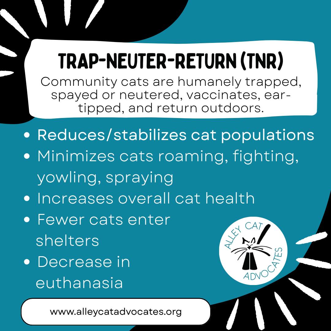 Did you know that the... - Alley Cat Advocates | Facebook