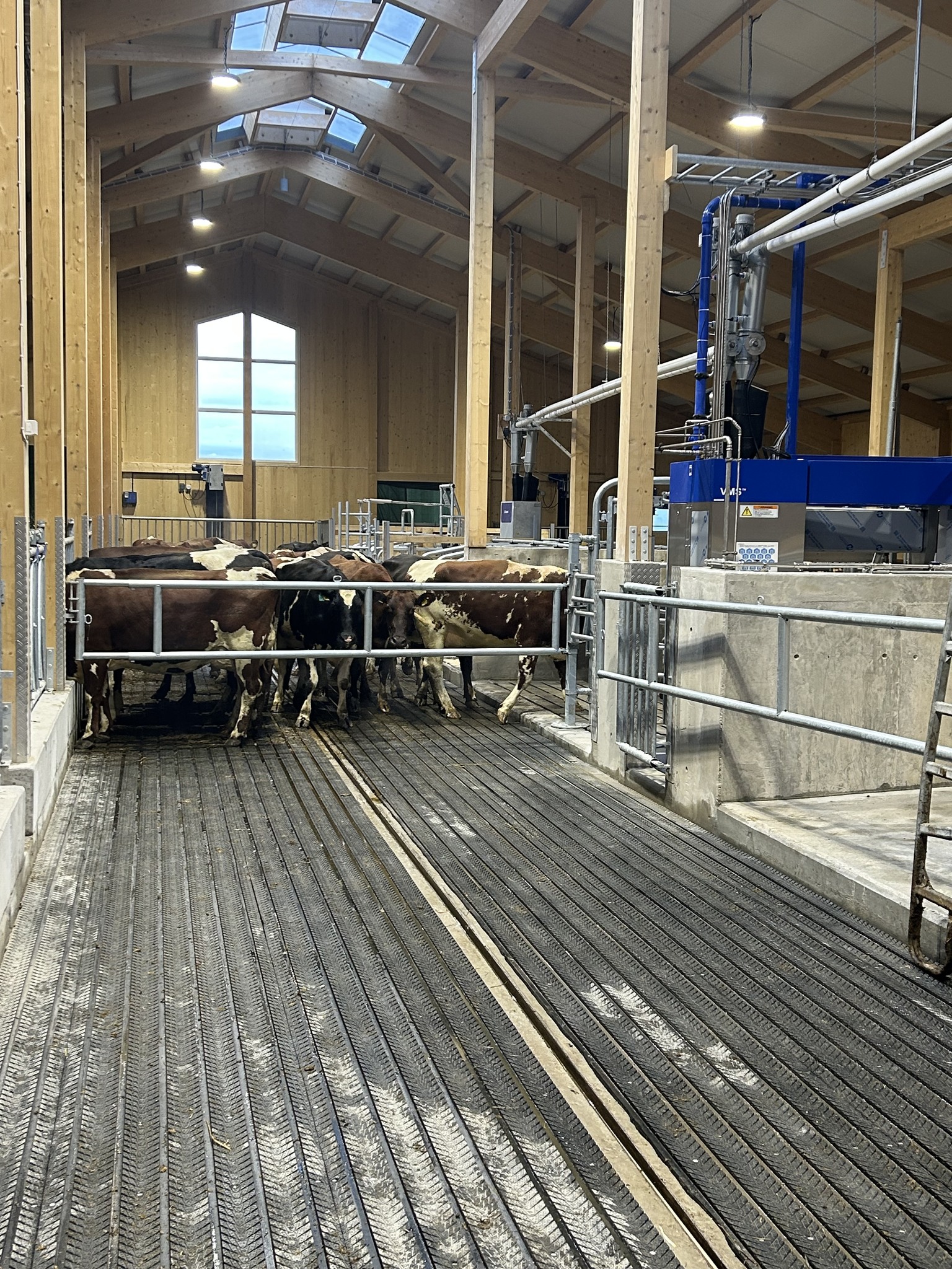 Felleskjøpet Agri | Vikersund