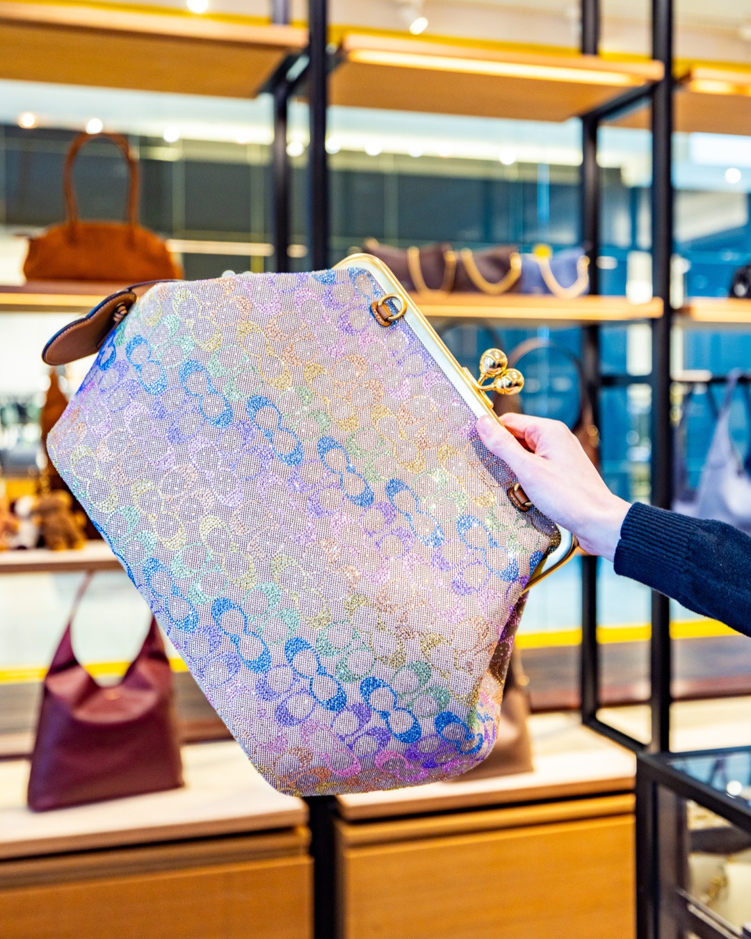 ? The Coach Kisslock Frame Bag in Crystal Signature Jacquard may 