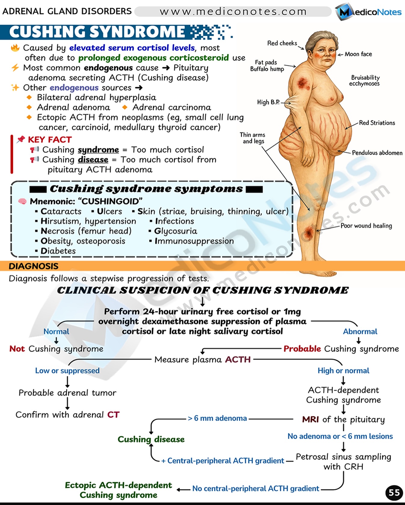 MedicoNotes - 📚 CUSHING SYNDROME 📌 Definition & Causes • Caused by ...