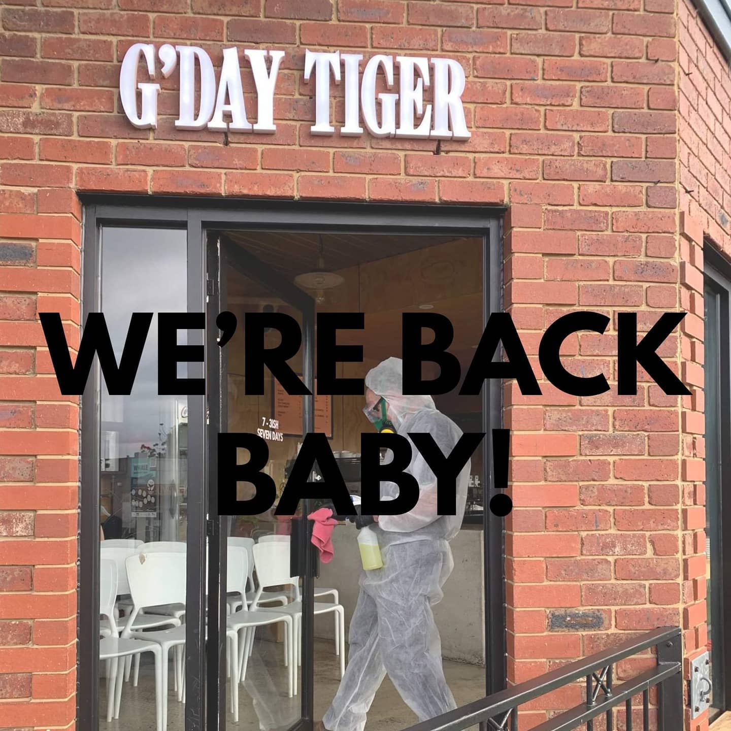 G Day Tiger Home Facebook