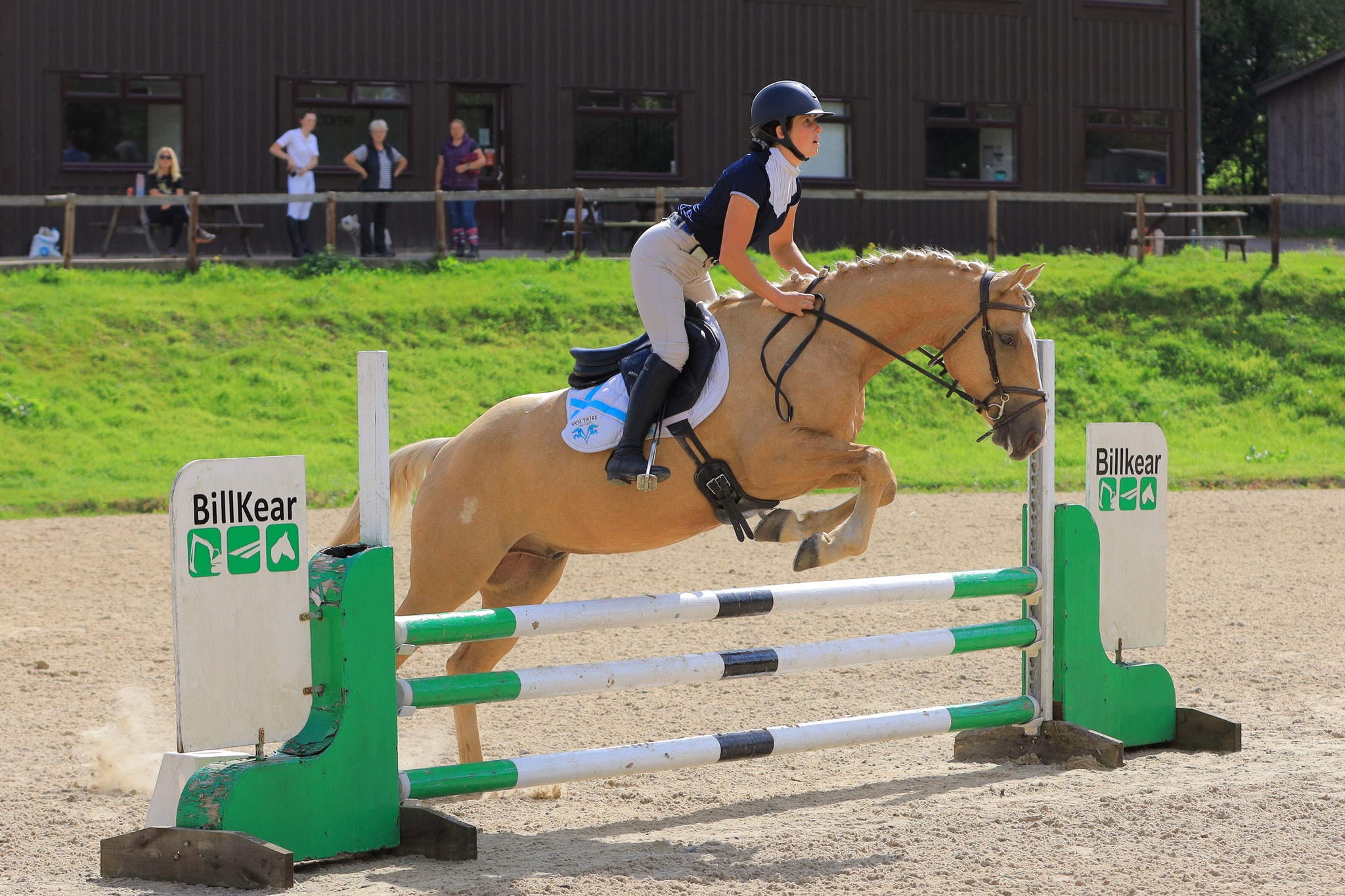Photos from Today's Clear Round... - Felbridge Show Ground | Facebook