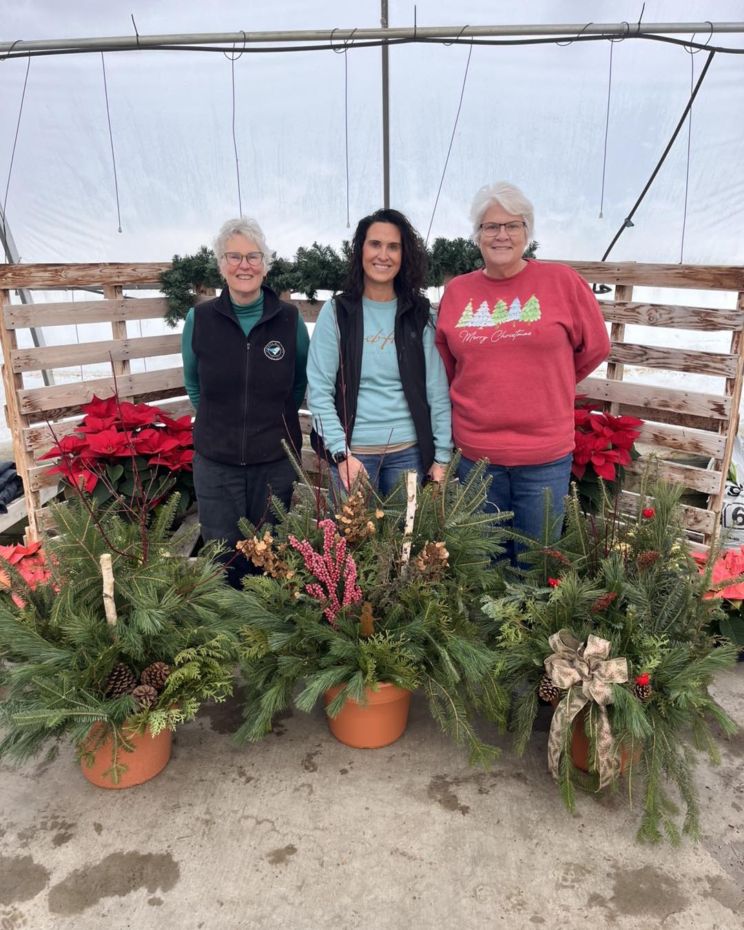 Millhome Nursery &... - Millhome Nursery & Greenhouses