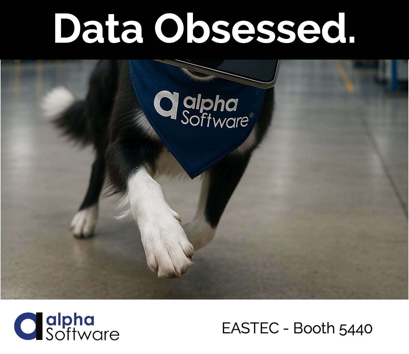 Alpha Software Corporation