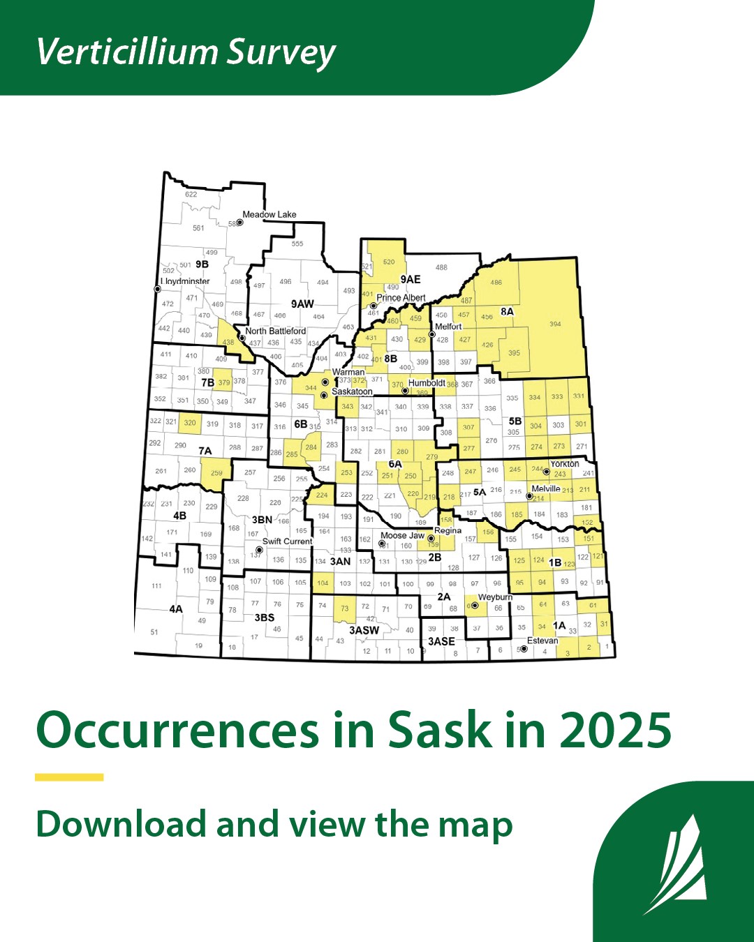 Saskatchewan - 73 RMs were confirmed to have verticillium stripe in the ...