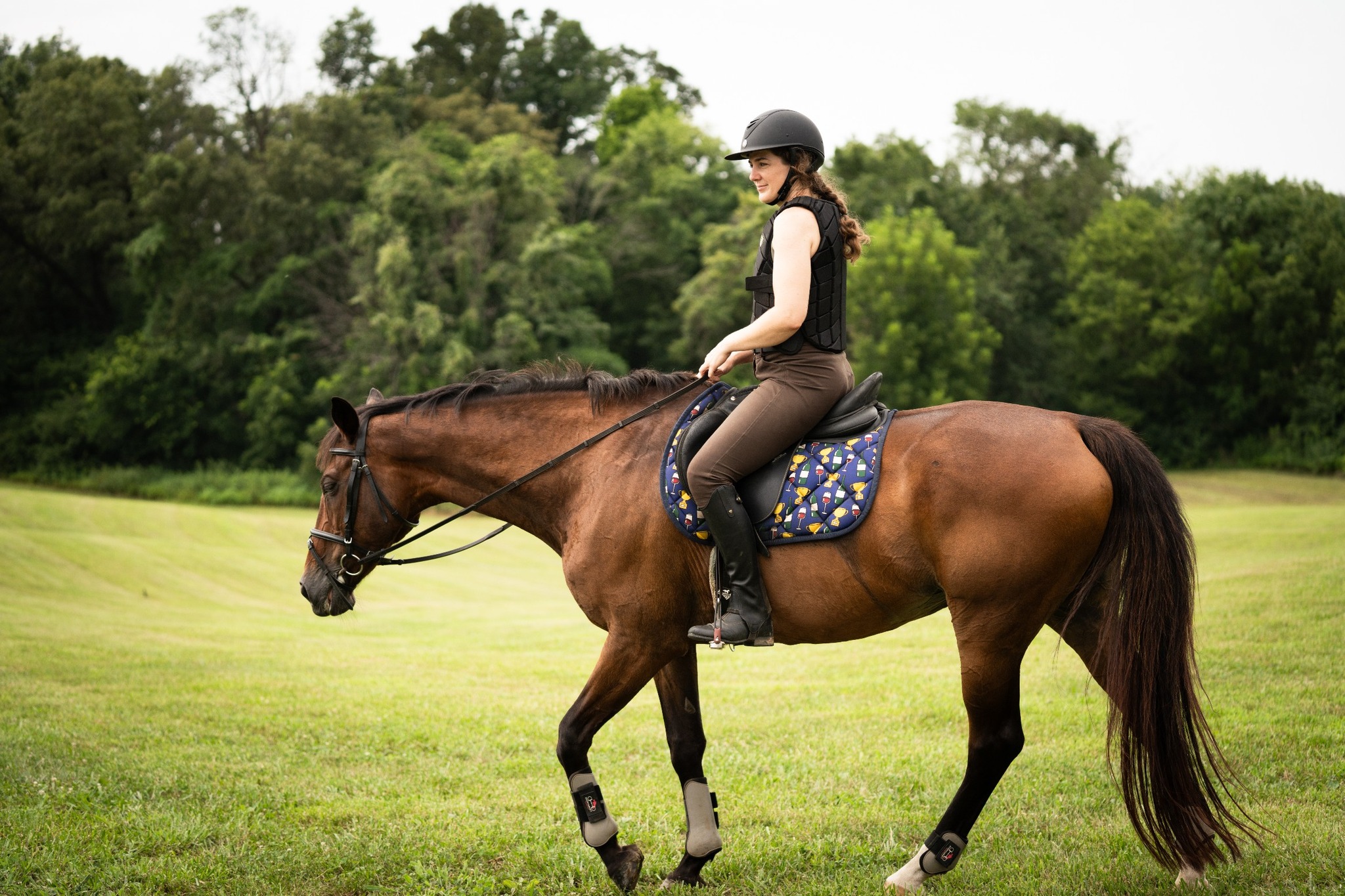 Oak Ridge Farm Equestrian... - Oak Ridge Farm Equestrian