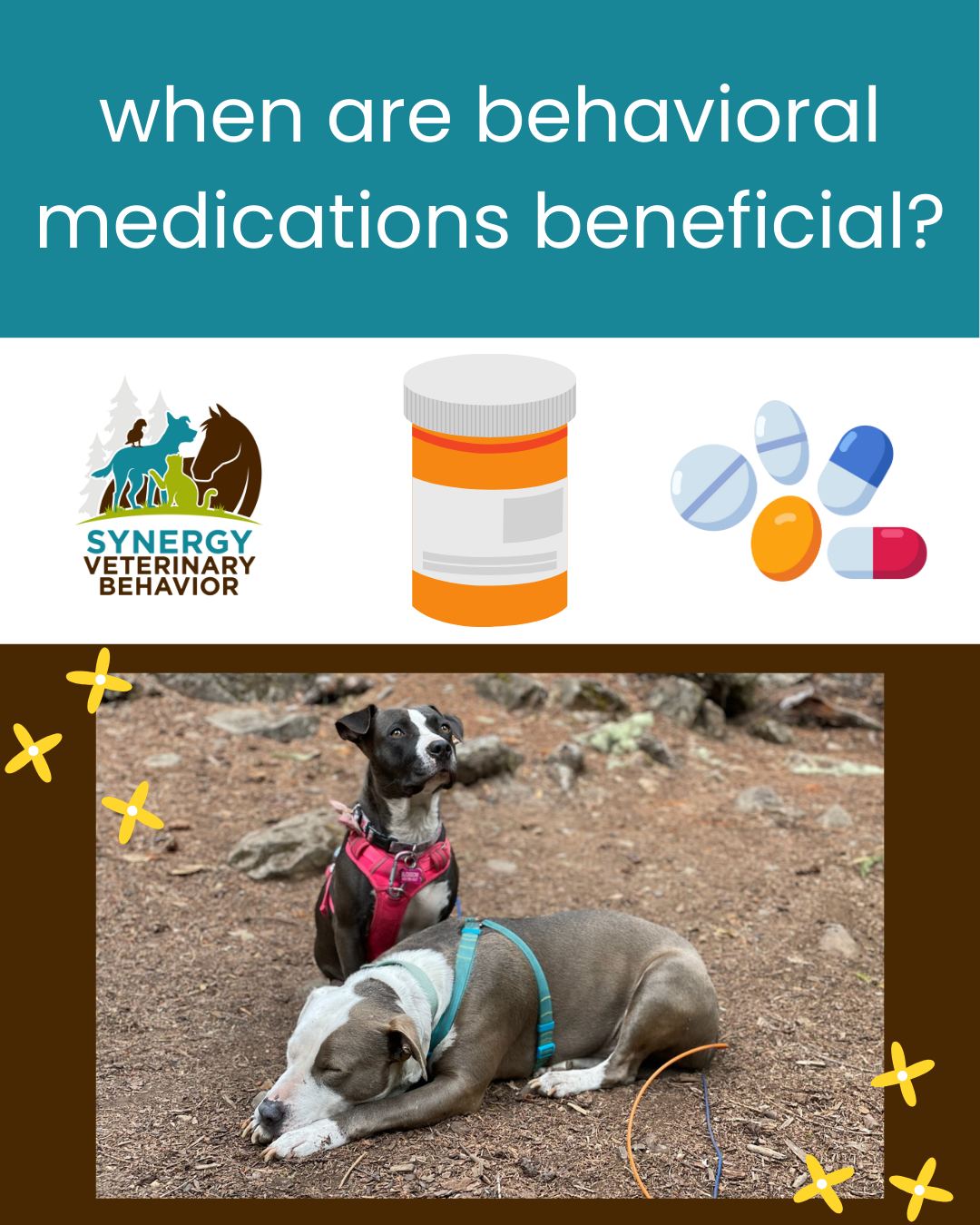 Synergy - When are behavioral medications beneficial? There are many ...