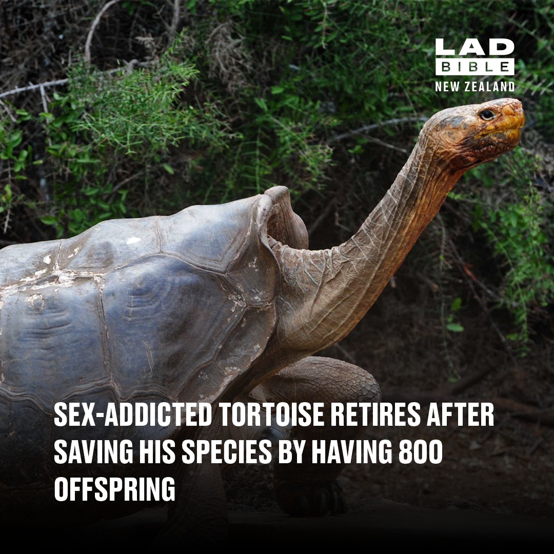LADbible - He was just one man on a mission 😳 | Facebook