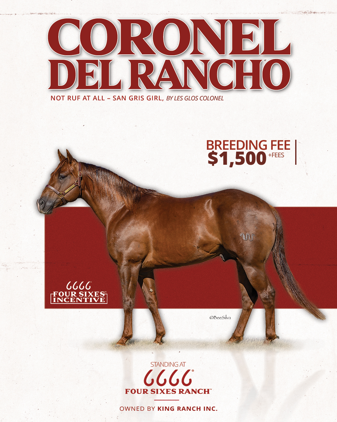 6666 Ranch - 6666 Ranch added a new photo.