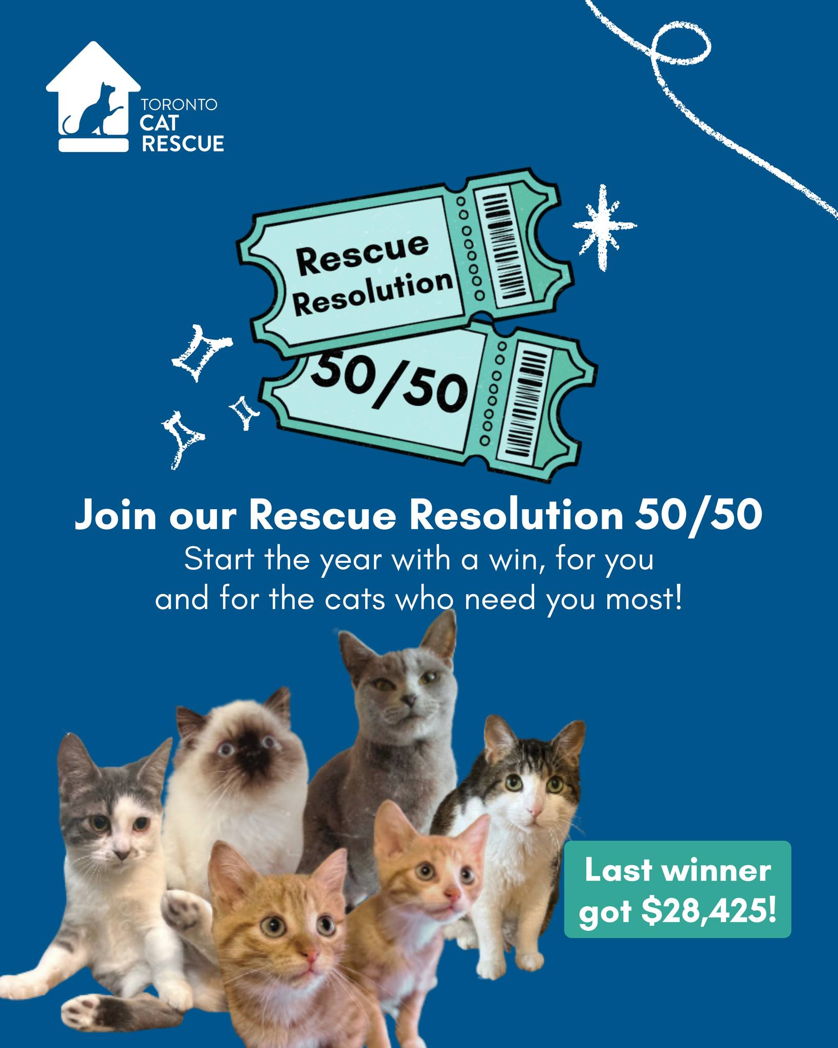 Toronto - Start the year with a win, for you and for the cats who need ...