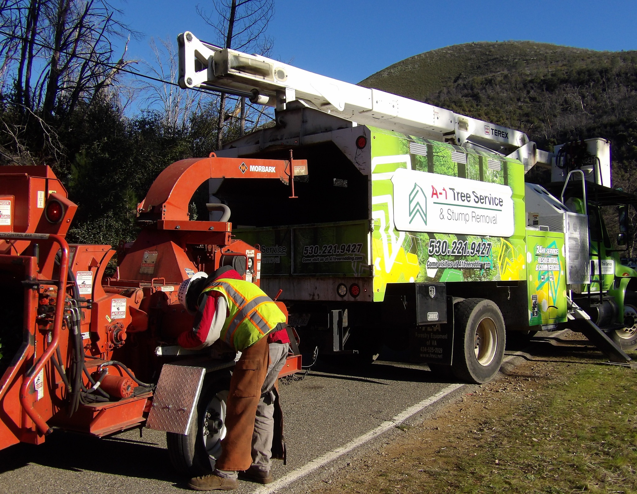 A-1 Tree Service & Stump Removal | Redding CA