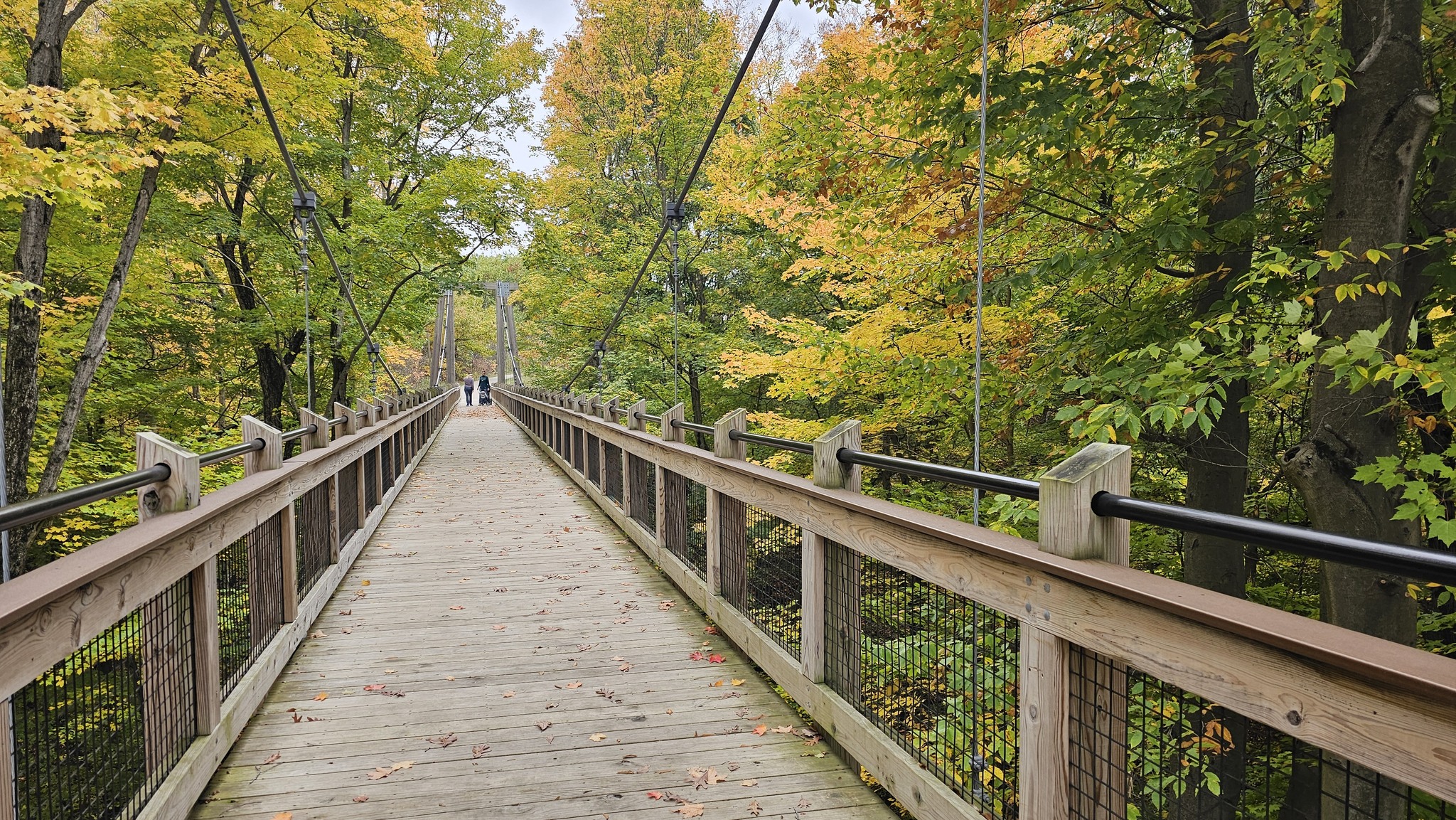 Hey - 🍂 GRAND RAVINES PARK – Michigan Fall Hiking #1 🌉🐾🍁 📍 Jenison, MI ...
