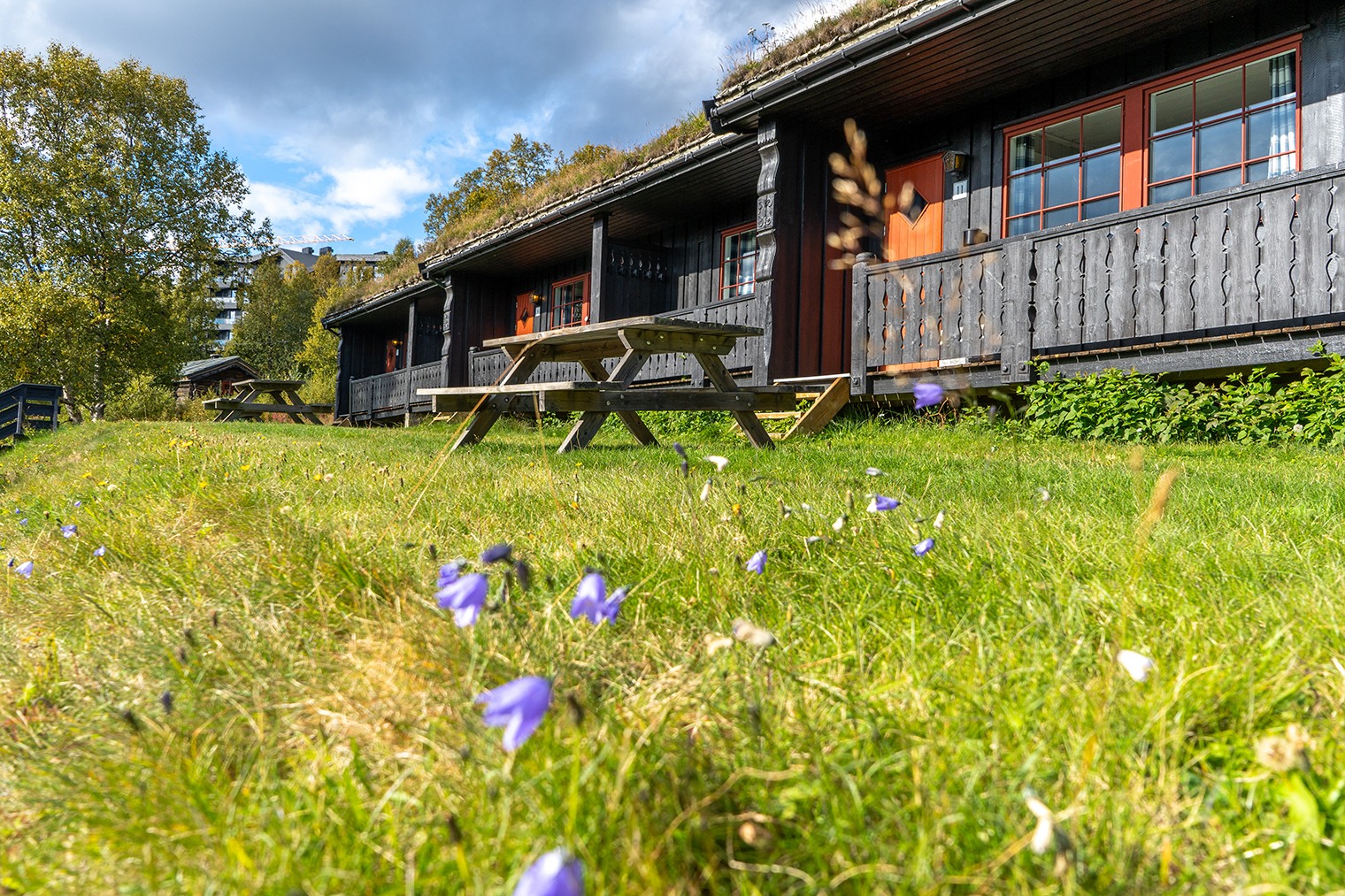 FJÄLLFERIE | Sæby