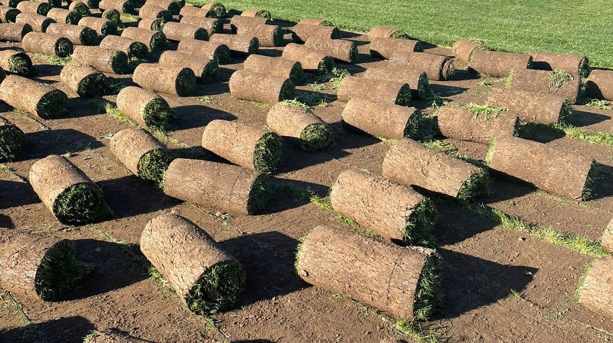 Se vende pasto natural en rollo S y J | Santiago