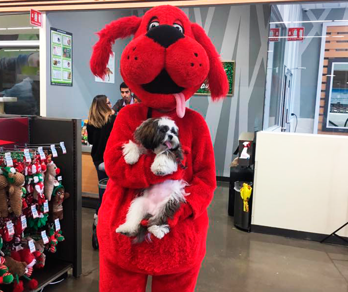 Petco México - 