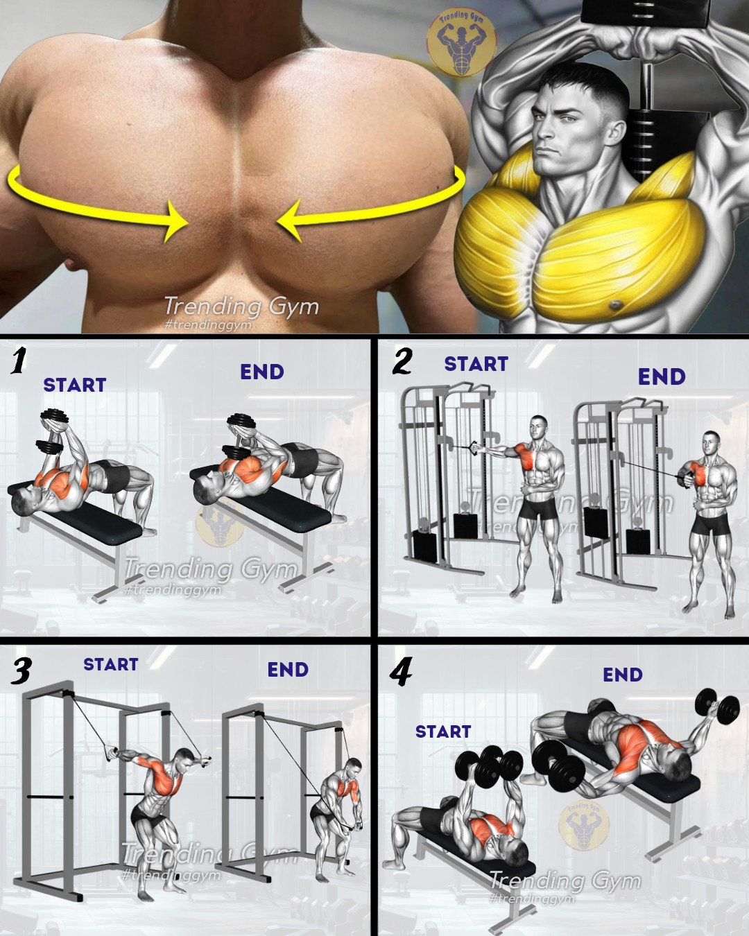 Trending - Top 4 Best Chest Workout Routine - Chest Day 🔥 ① Dumbbell ...