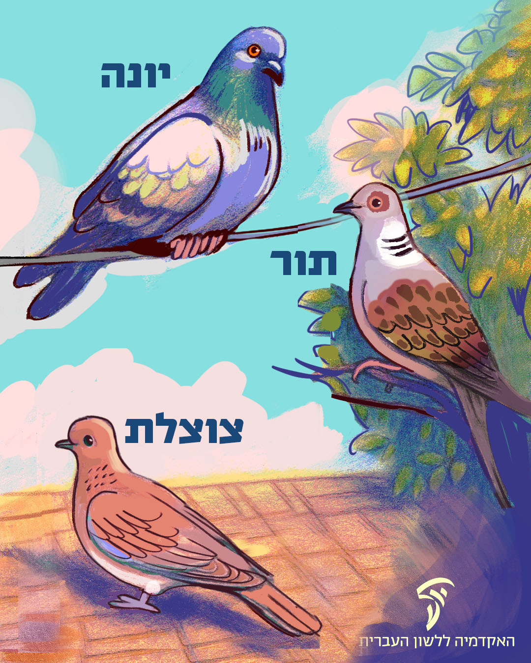 האקדמיה ללשון העברית - שבועות אלה מתאפיינים במיון חפצים, אריזה קפדנית ...