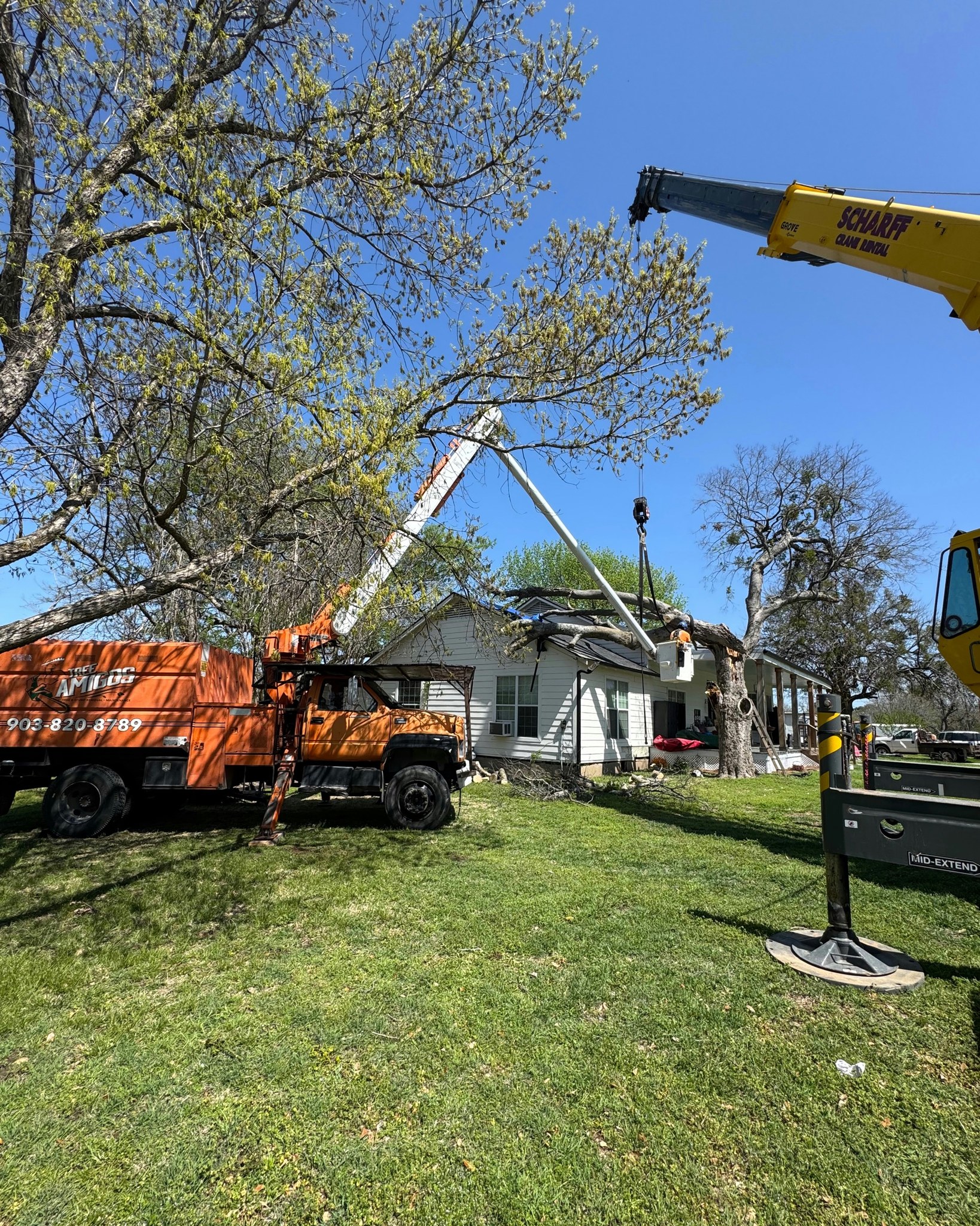 Tree Amigos Tree Services | Whitewright TX