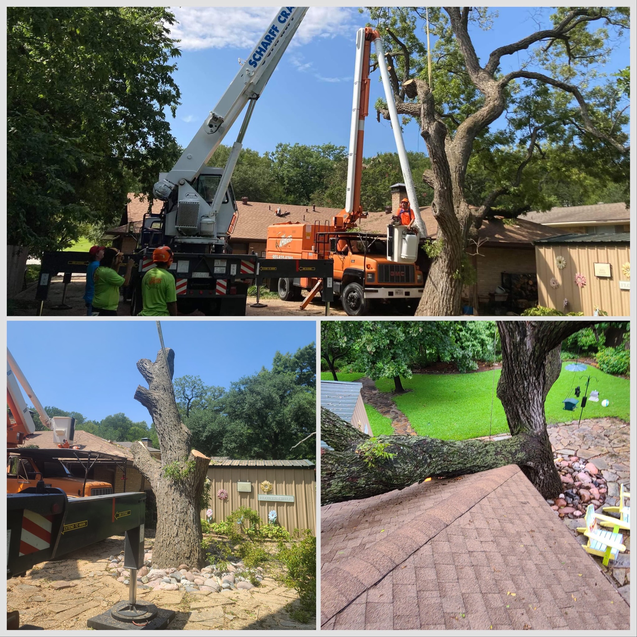 Tree Amigos Tree Services | Whitewright TX