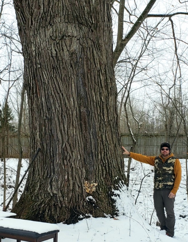 Big Trees Ohio - It's amazing when you find MEGA trees...