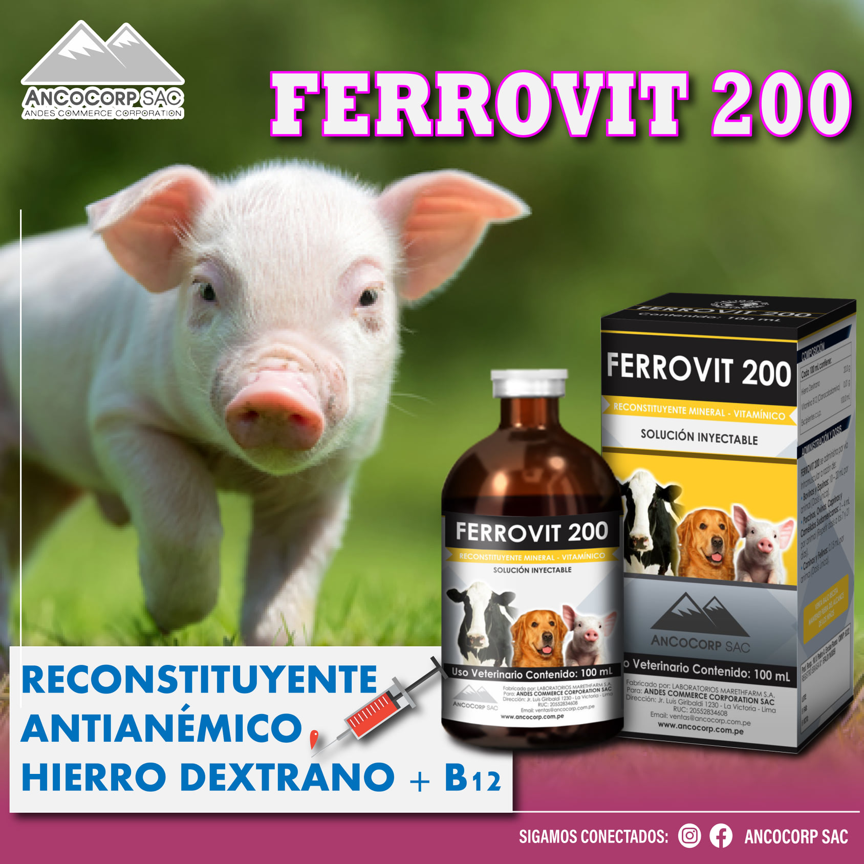 Soluciones - ‼𝗙𝗘𝗥𝗥𝗢𝗩𝗜𝗧 200‼ Es un reconstituyente mineral - vitamínico ...