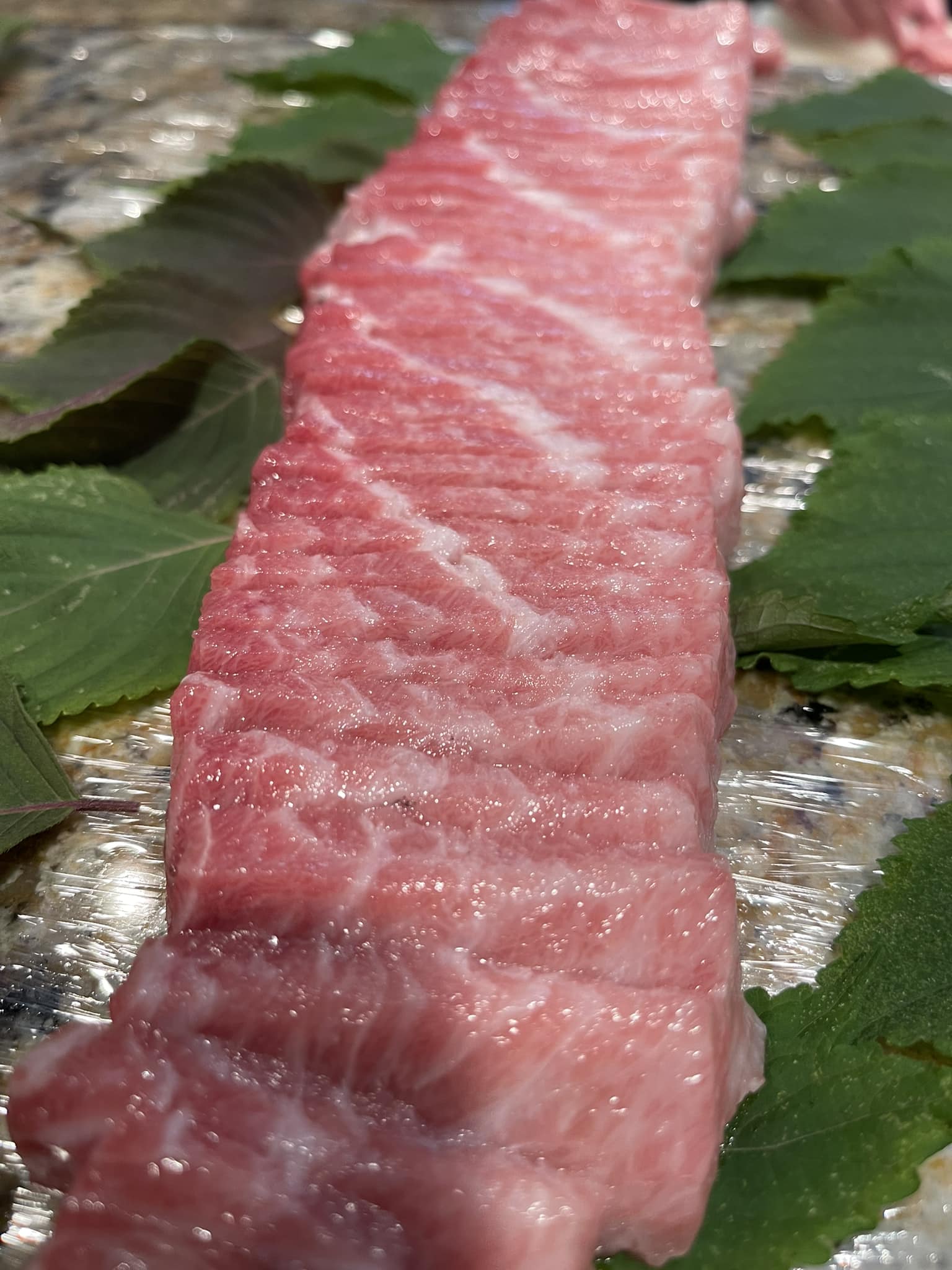 Sakanaya Boston | Newton MA