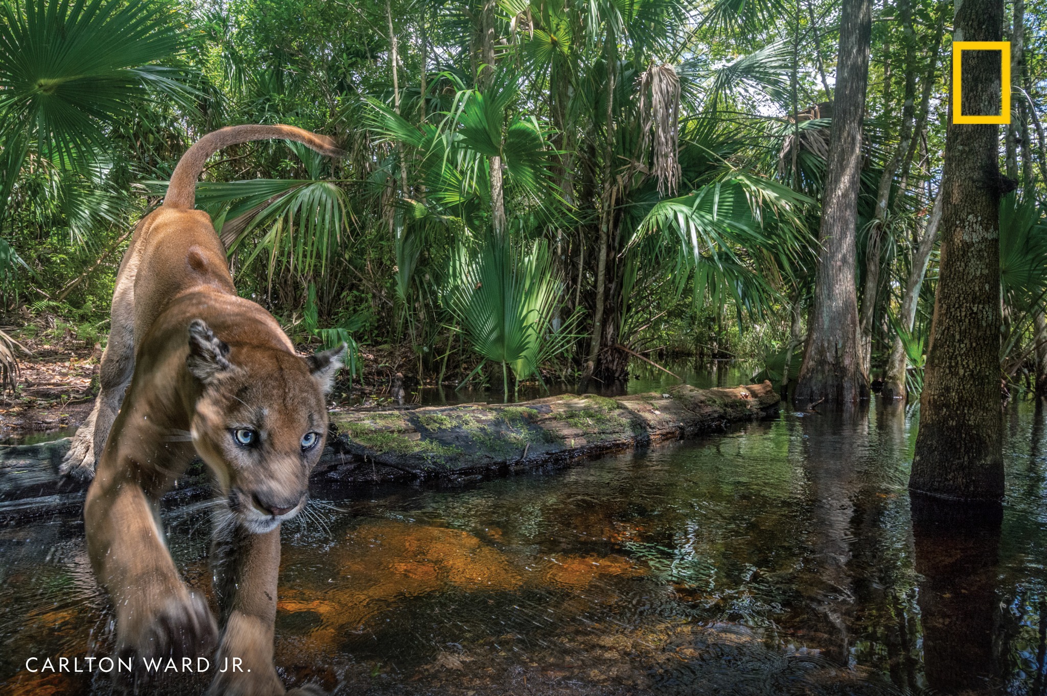 National Geographic - 