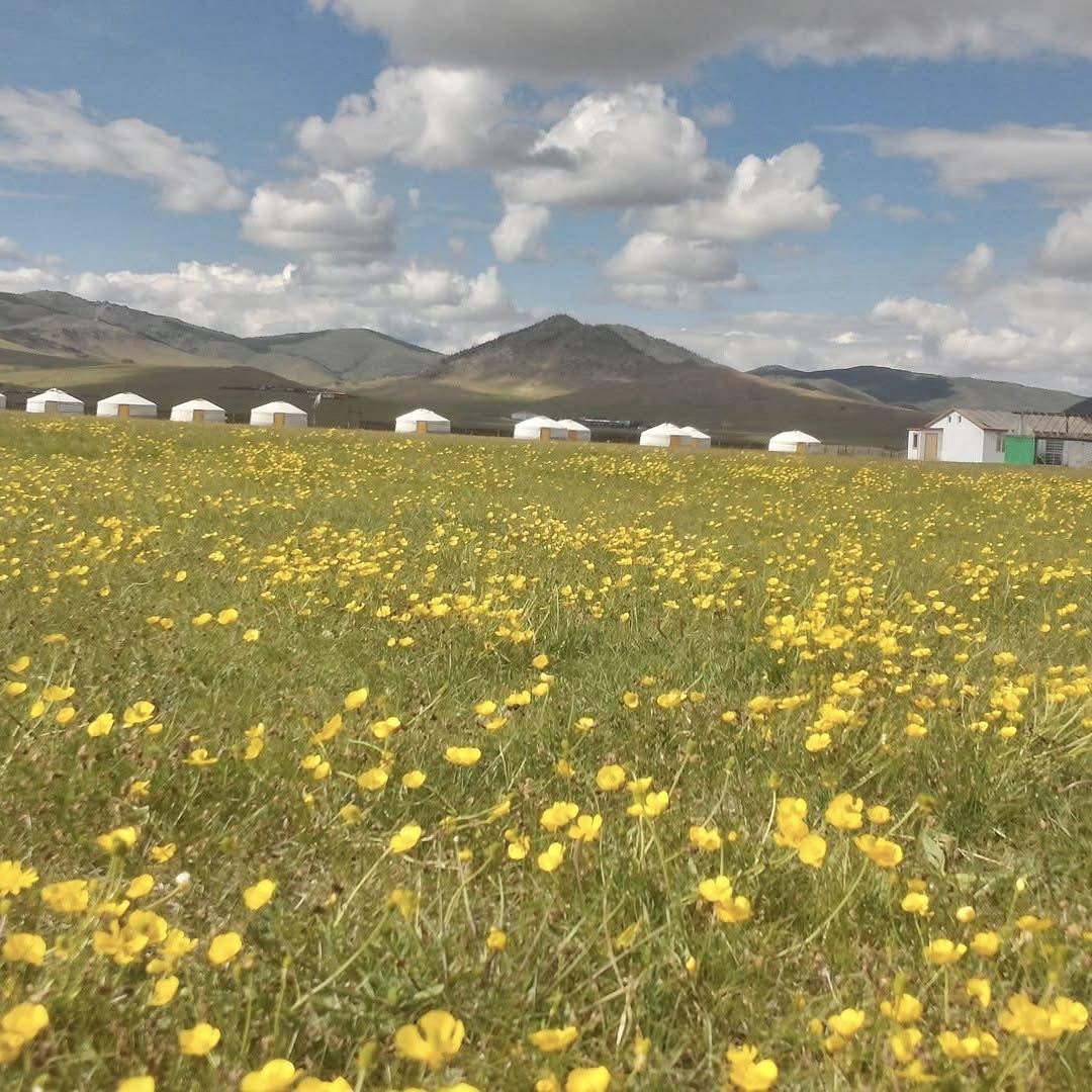 Maidar-San - 🌈⛺️🚙🚙 Амралт аялалын сар эхэллээ. Буудлах газраа сонгосон ...